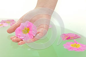 HAND HOLDING A FLOWER IN SPA