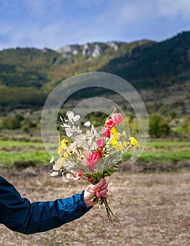 Hand Holding Flowers Bouquet with Mountain Background, Colorful Flower Bouquet Rametea Alba Romania