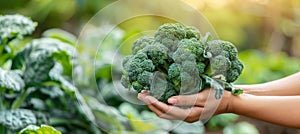 Hand holding fresh broccoli floret with selection on blurred background, copy space available