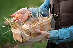 A hand holding a fresh chicken egg and organic eggs in a basket