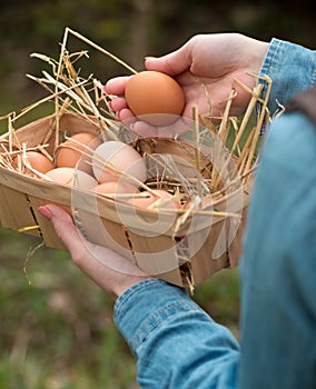 A hand holding a fresh hen egg and other eggs in a basket with n