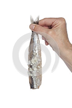 Hand holding a fresh herring with onions