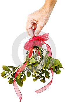 Hand holding fresh mistletoe