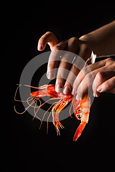 Hand holding prawn