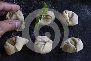 Hand holding fresh Ravioli with basil on floury dark background. Italian homemade healthy food concept.Creative composition