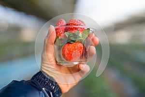 Hand Holding Fresh Strawberry