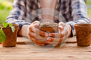 Hand holding a full soil of pot with seeds prepare to sowing at home garden