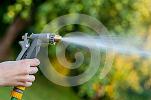 Hand holding garden hose with water spray photo