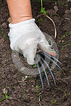 The hand holding the gardening tool