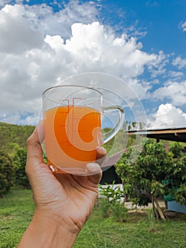 Hand holding glass of carrot juice homemade beverage with mountain and sky background,   food and drink healthy