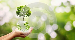 hand holding glass globe ball with tree growing and green nature background. eco environment concept