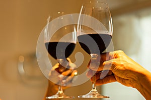 Hand holding a glass goblet with red wine next to a mirror
