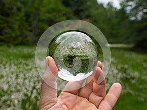 Hand holding glass sphere in front of meadow with cotton grass