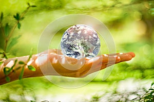 Hand holding globe glass in green forest over nature background. Environment concept - Elements of this image furnished by NASA