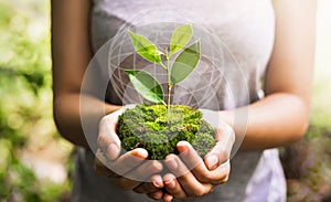 hand holding globe with young plant growing and sunshine in nature. concept save earth