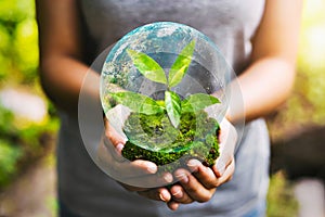 hand holding globe with young plant growing and sunshine in nature. concept save earth.Elements of this image furnished NASA