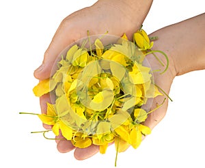 A hand holding golden flower isolated
