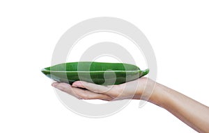 Hand holding green empty plate isolated on white background with clipping path.