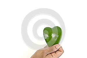 Hand holding green heart, eco sustainable living, healthy wellness, ESG, CSR social responsibility, biofuel renewable energy