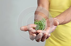 Hand holding green plant stock photo