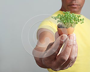 Hand holding green plant stock photo