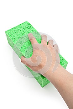 Hand holding Green Sponge