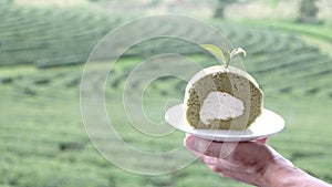 Hand holding green tea Chiffon roll