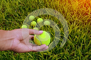 a hand holding green tennis ball
