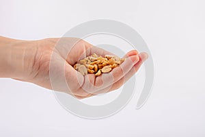 Hand holding heap of salt roasted peanuts on white background