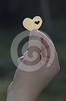 Hand Holding Heart Shape