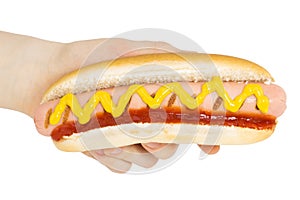 Hand holding hot dog with mustard isolated on white background. ÃÂ¡lipping path photo