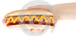 Hand holding hot dog with mustard isolated on white background. ÃÂ¡lipping path photo