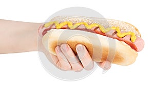 Hand holding hot dog with mustard isolated on white background. ÃÂ¡lipping path photo