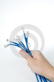 Hand holding internet cable.