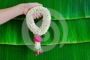 Hand holding jasmine garland with wet banana leaf background