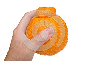 Hand holding large sumo orange, isolated