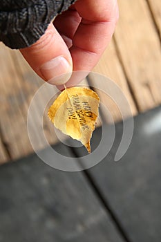 Hand holding leaf with text Happy Thanksgiving day