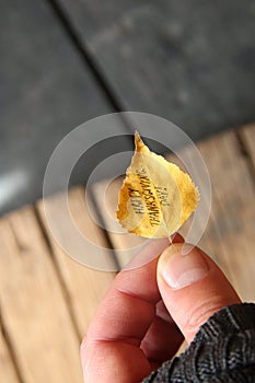 Hand holding leaf with text Happy Thanksgiving day