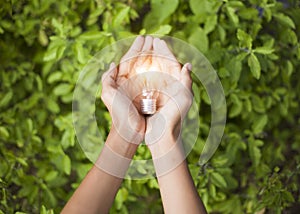 Hand holding light bulb against nature, icons energy sources for renewable,