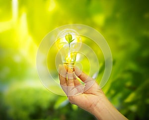 Hand holding a light bulb with energy