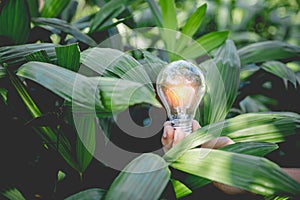 Hand holding light bulb,energy sources for renewable