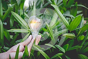 Hand holding light bulb,energy sources for renewable