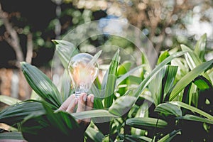 Hand holding light bulb,energy sources for renewable