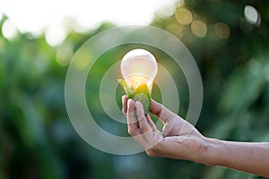 Hand holding light bulb,energy sources for renewable,natural energy concept