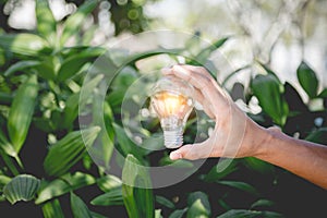 Hand holding light bulb,energy sources for renewable,natural energy