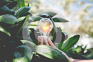 Hand holding light bulb,energy sources for renewable,natural energy