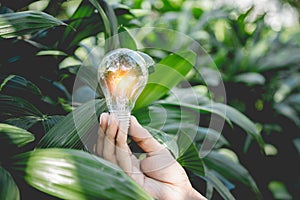 Hand holding light bulb,energy sources for renewable,natural energy