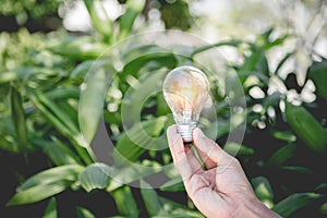 Hand holding light bulb,energy sources for renewable,natural energy