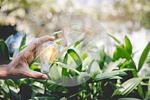 Hand holding light bulb,energy sources for renewable,natural energy