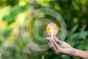 Hand holding light bulb,energy sources for renewable,natural energy concept